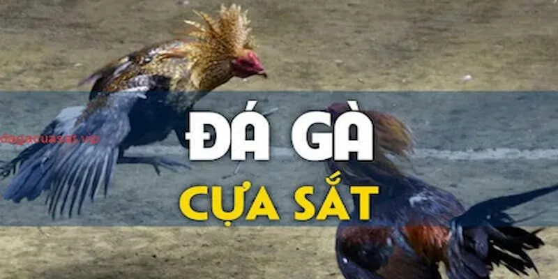 da-ga-cua-sat-1-1